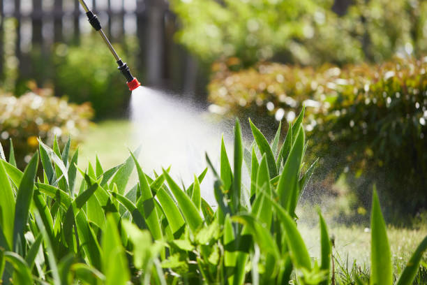 24/7 Emergency Mosquito Control experts in Puget Island, WA